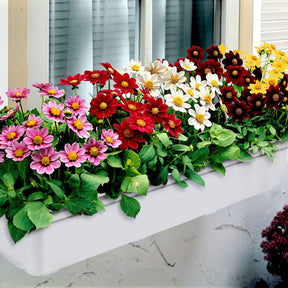 Vente 5 Dahlia miniature Topmix en mélange