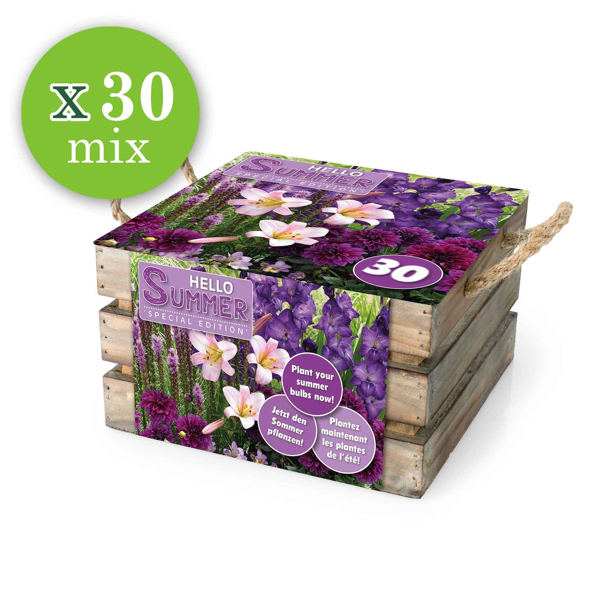 30 bulbes de fleurs Hello Summer en mélange - Dahlia, lilium, gladiolus, liatris - Willemse