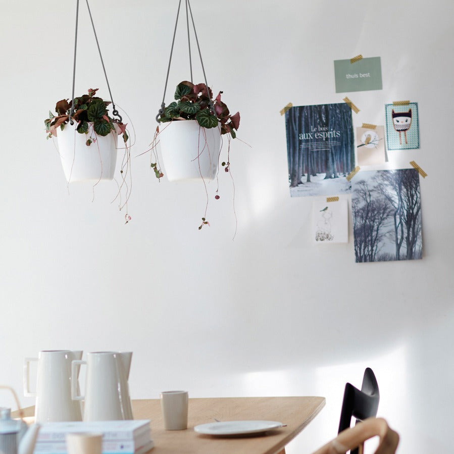 Suspension Brussels Hanging Basket D18 anthracite -  - Willemse