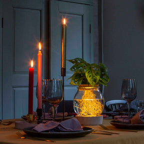 Hydro ampoule P15 + LED