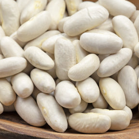 Phaseolus vulgaris haricot maïs type tarbais - Haricot à rames Haricot Maïs type tarbais - Haricots à écosser