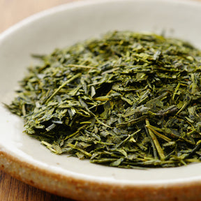 Plantes vertes - Théier - Camellia sinensis