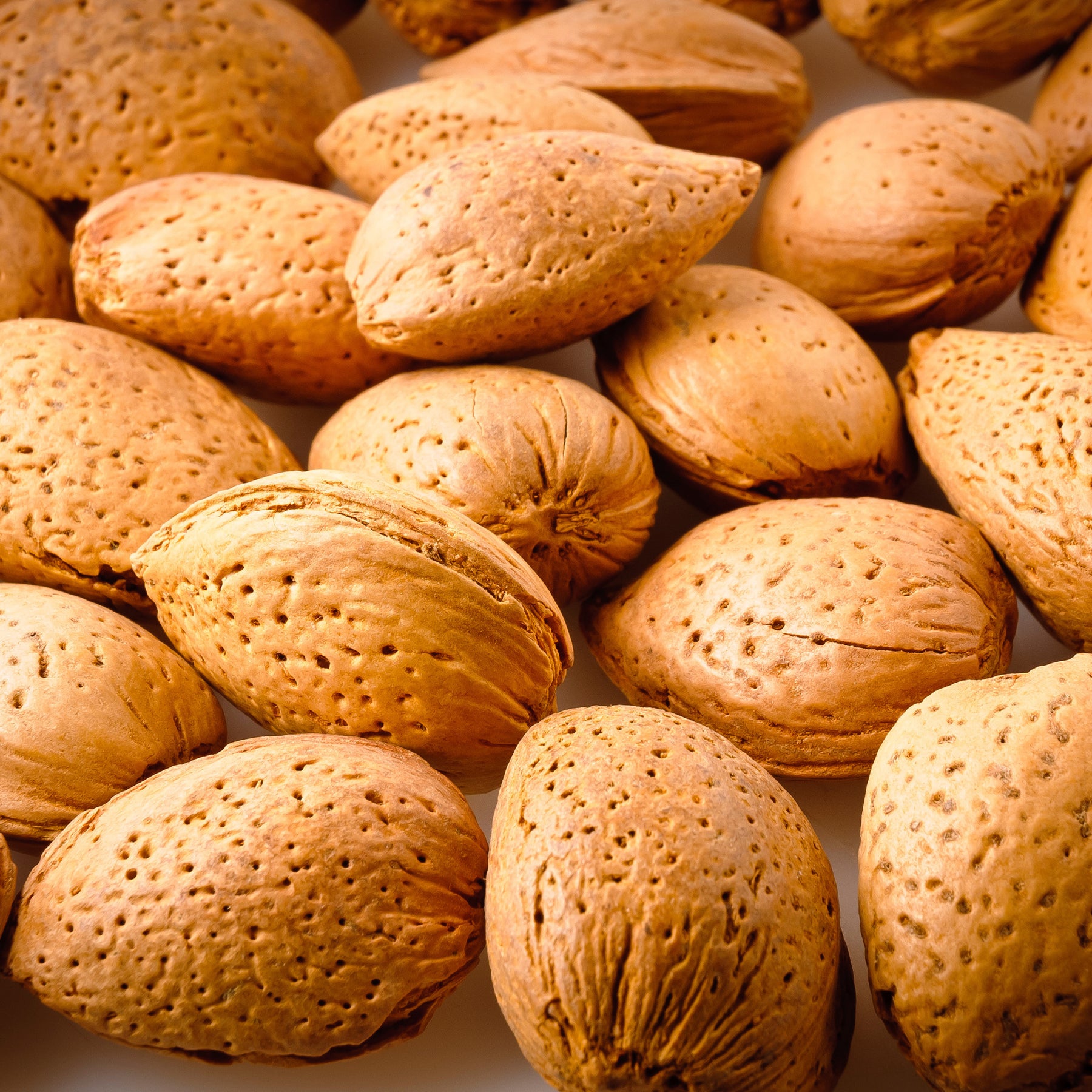 Prunus dulcis Texas - Amandier - Fruitiers Arbres et arbustes