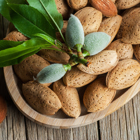 Vente Amandier - Prunus dulcis Texas