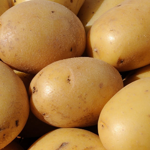 25 Pommes de terre Caesar