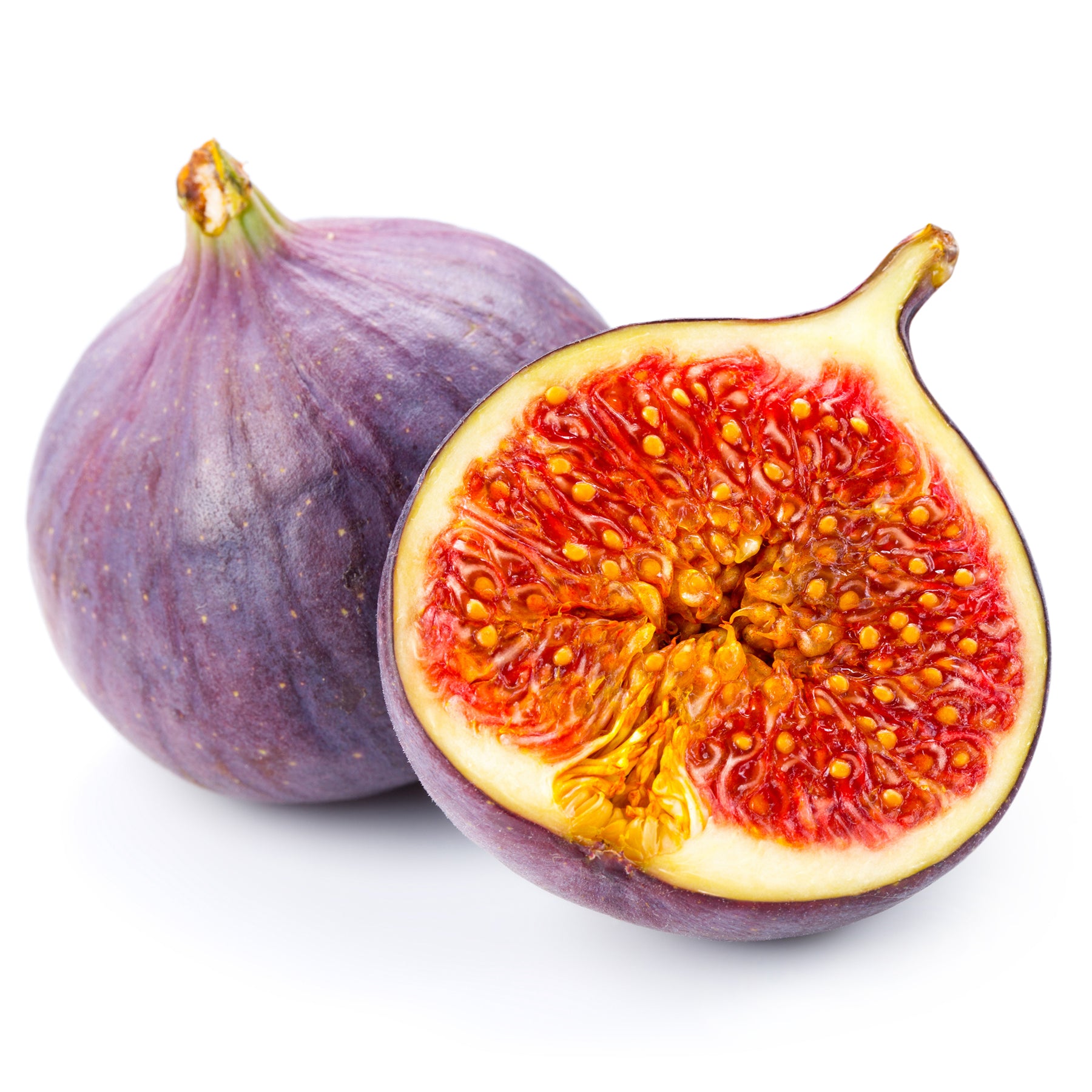 Figuier Perretta