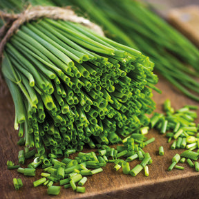 Vente Collection de fines herbes : Persil, Basilic, Cerfeuil, Ciboulette - Collection de fines herbes (persil, basilic, cerfeuil, ciboulette)
