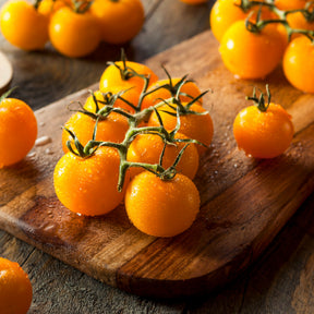 Tomate Cocktail Raisins jaunes