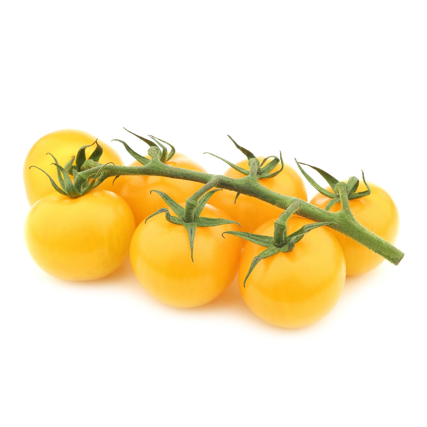 Tomate Cocktail Raisins jaunes