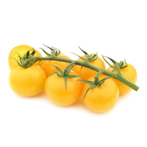 Tomate Cocktail Raisins jaunes