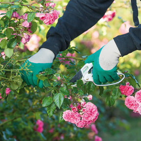  - Gant Rosier vert et gris - Equipement de protection du jardinier