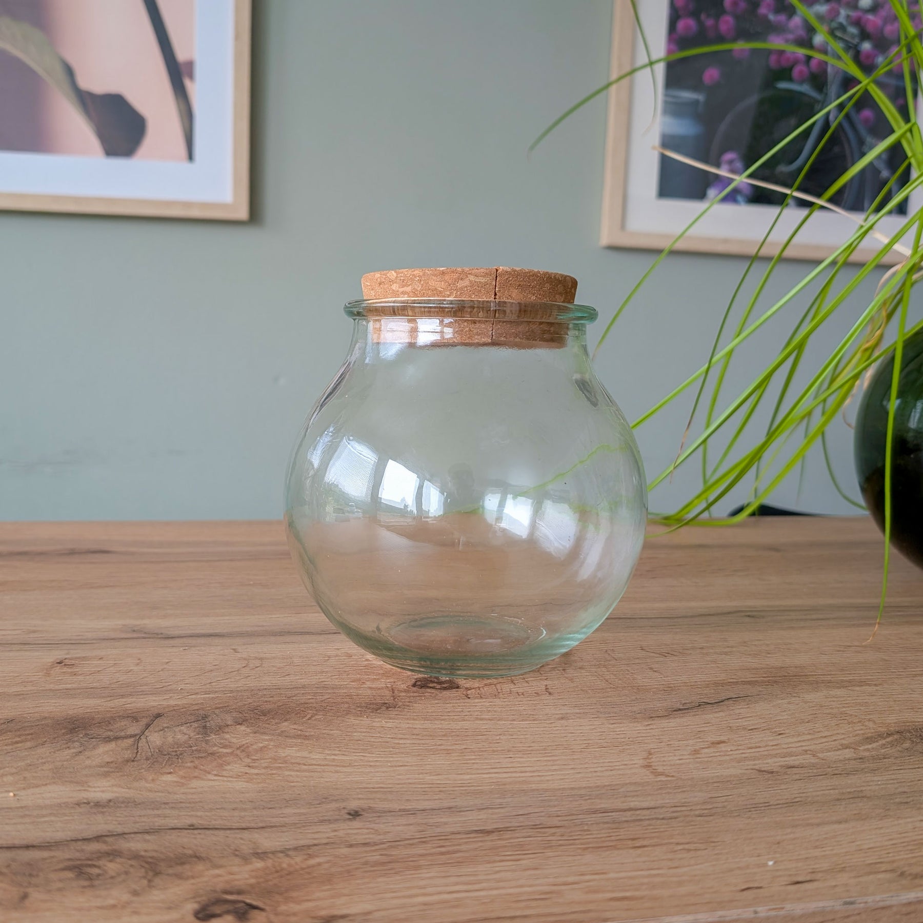 Hydro ampoule P15