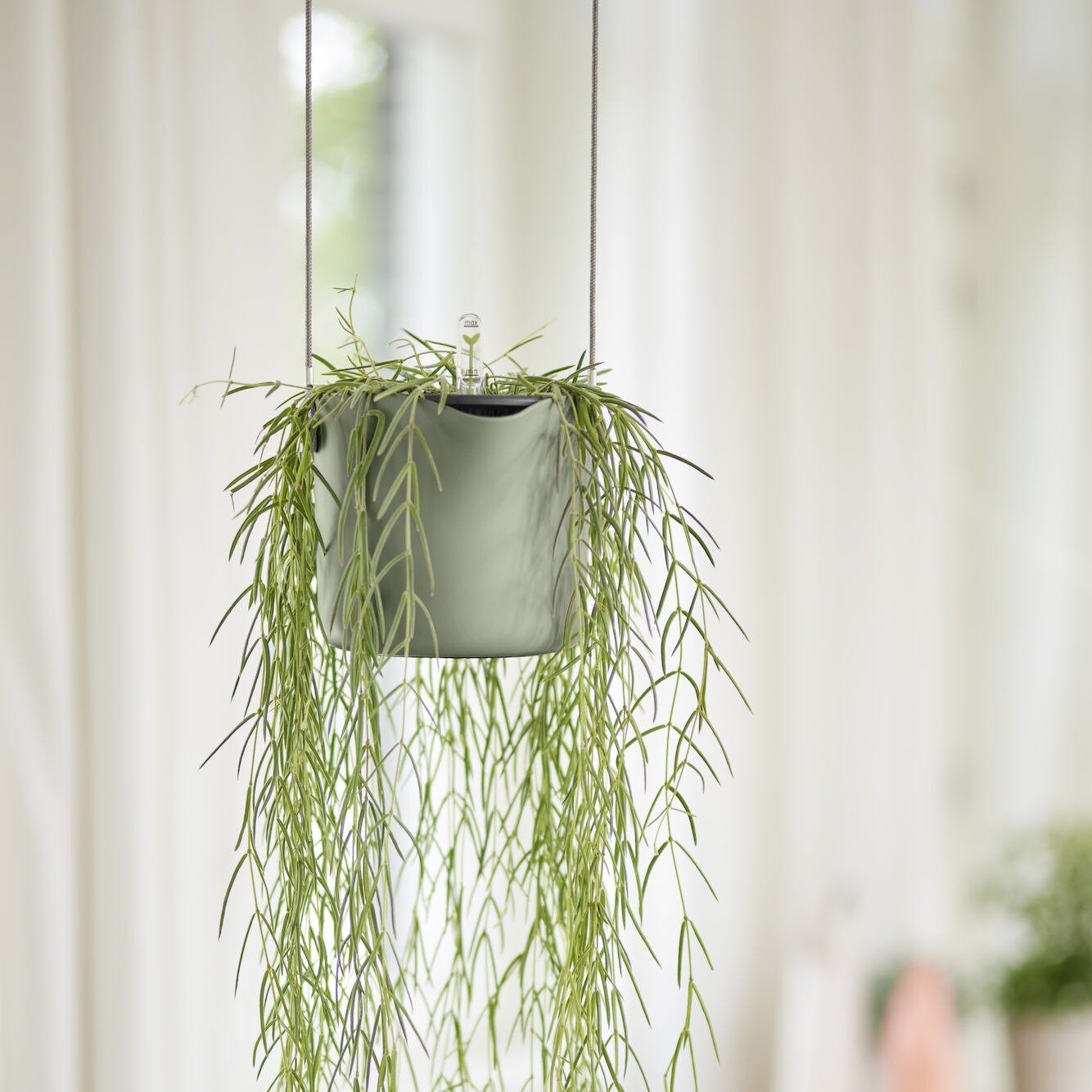 Suspension B for swing blanc ELHO - Pots vases suspensions et accessoires - Willemse