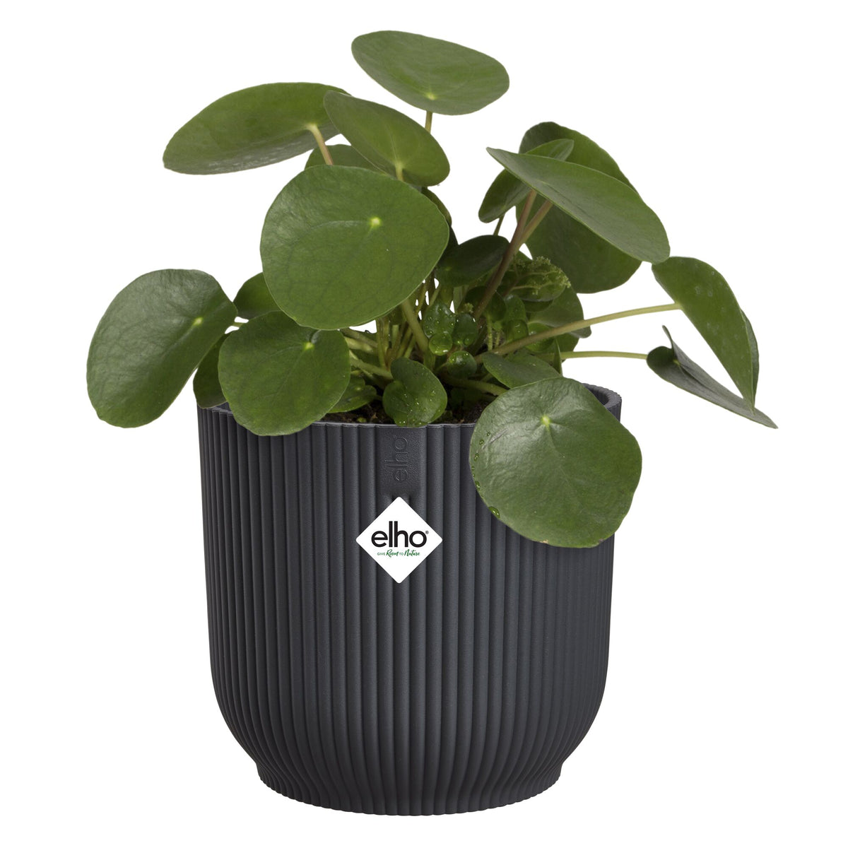 Cache-Pot Vibes fold rond Anthracite ELHO -  - Willemse