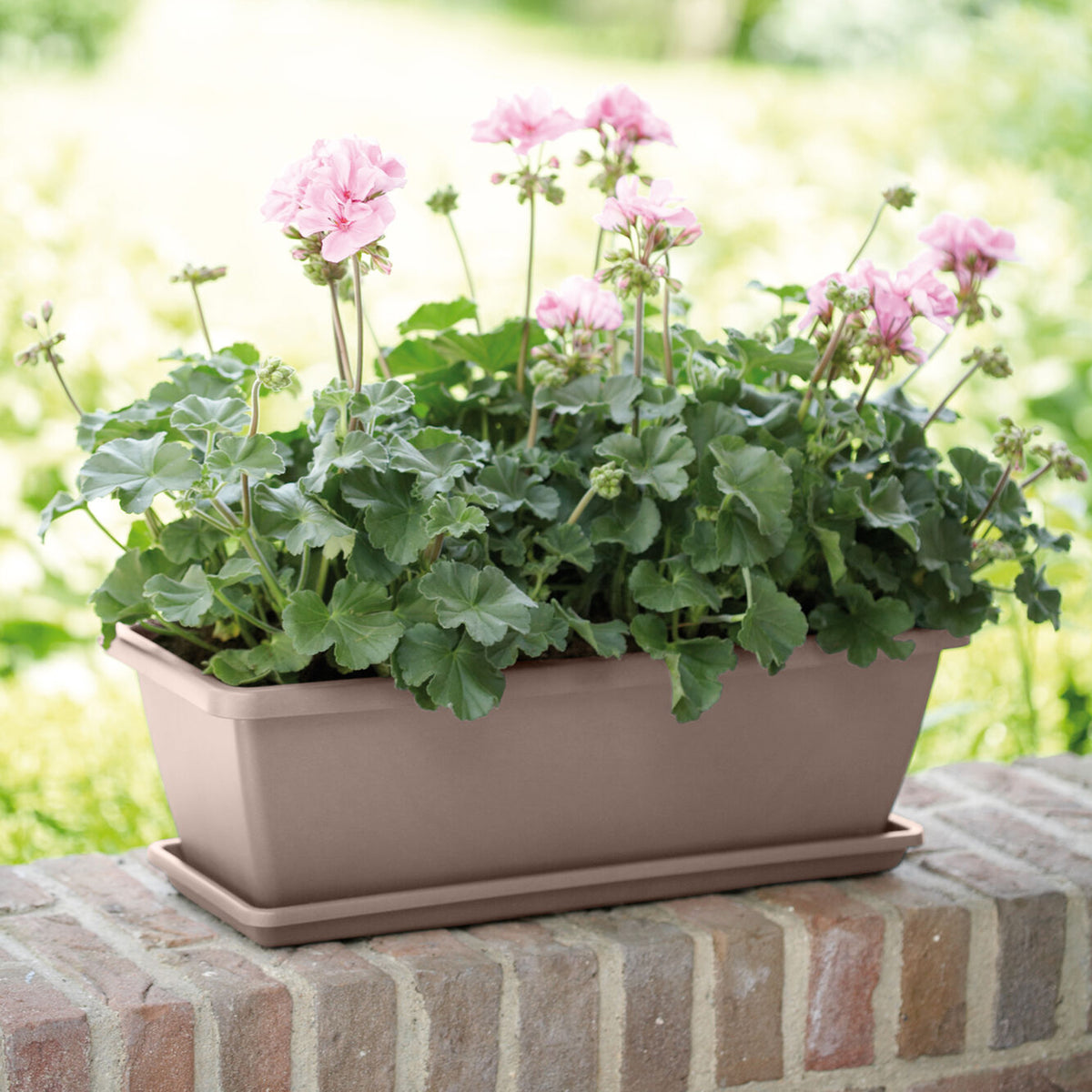 Jardinière Barcelona Taupe ELHO - Willemse