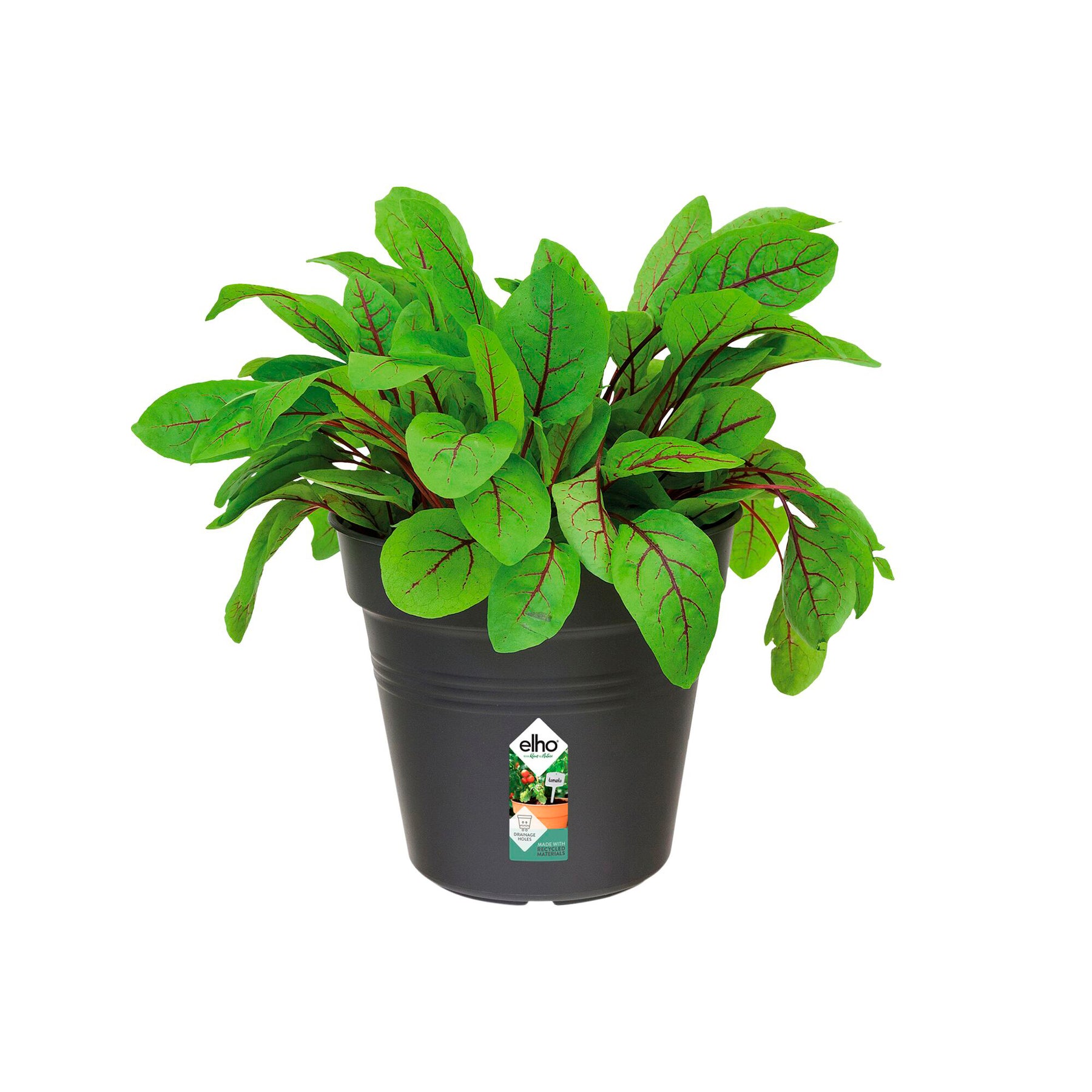  - Pot de culture Green Basics Living noir - Cache-pots & Pots