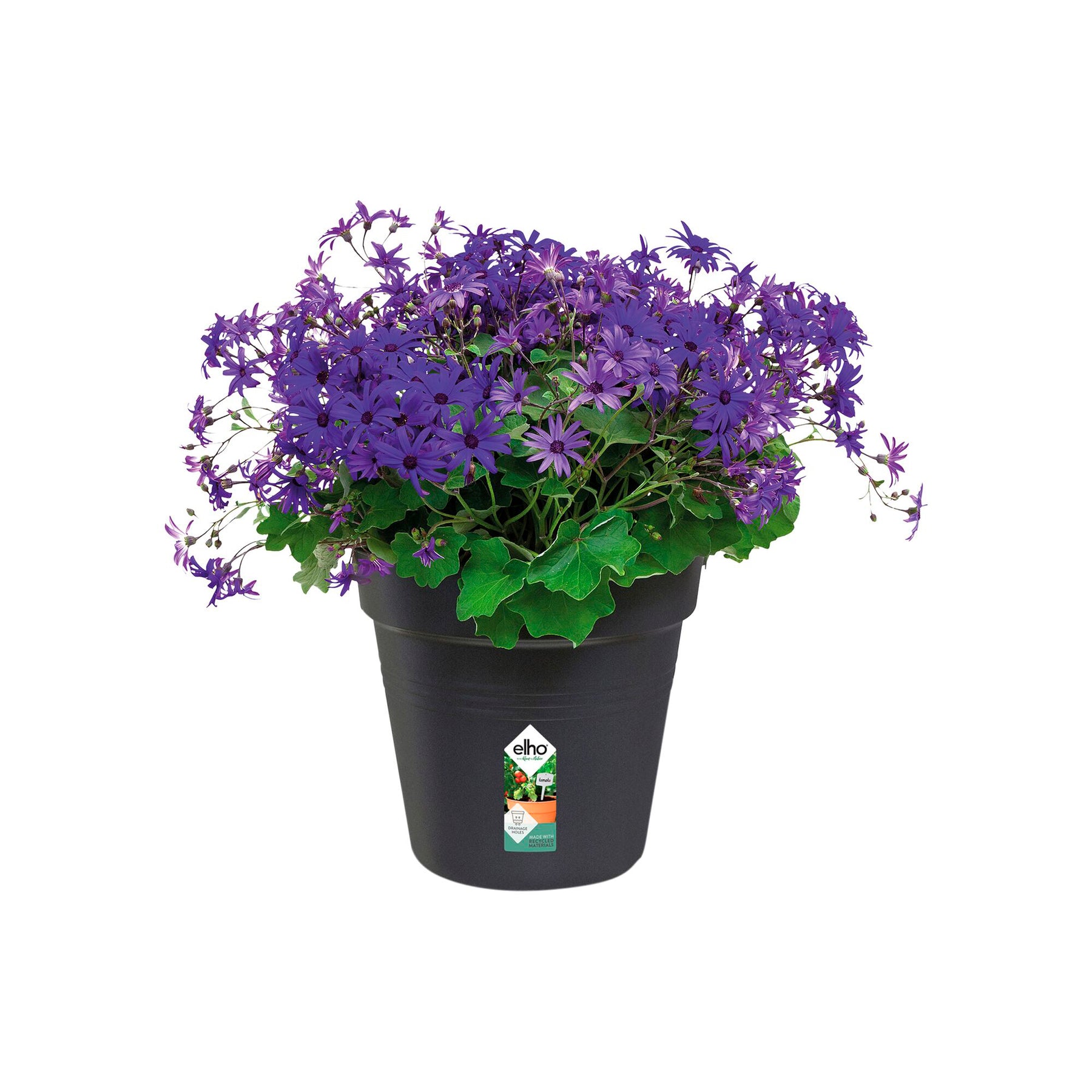 Pot de culture Green Basics Living noir -  - Willemse