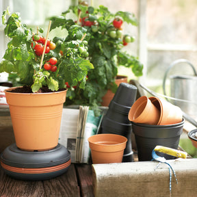 Pot de culture Green Basics Terre cuite -  - Willemse