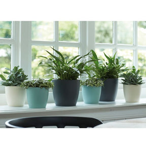 Vente Cache-pot Brussels Round anthracite ELHO