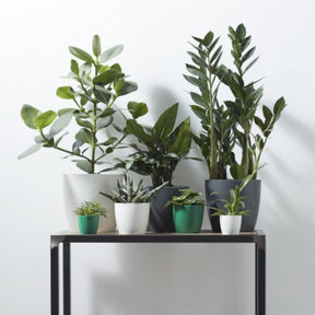 Cache-pot Brussels Round anthracite ELHO - Cache-pots - Willemse