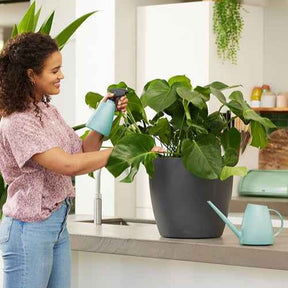 Matériel d'arrosage et récupérateurs d'eau - Elho arrosoir Brussels menthe - 