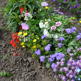 Tapis de fleurs spécial jardinières