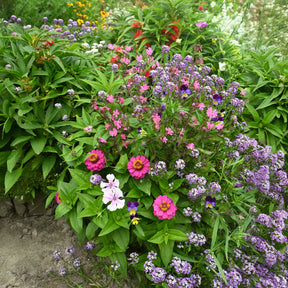 Tapis de fleurs spécial jardinières