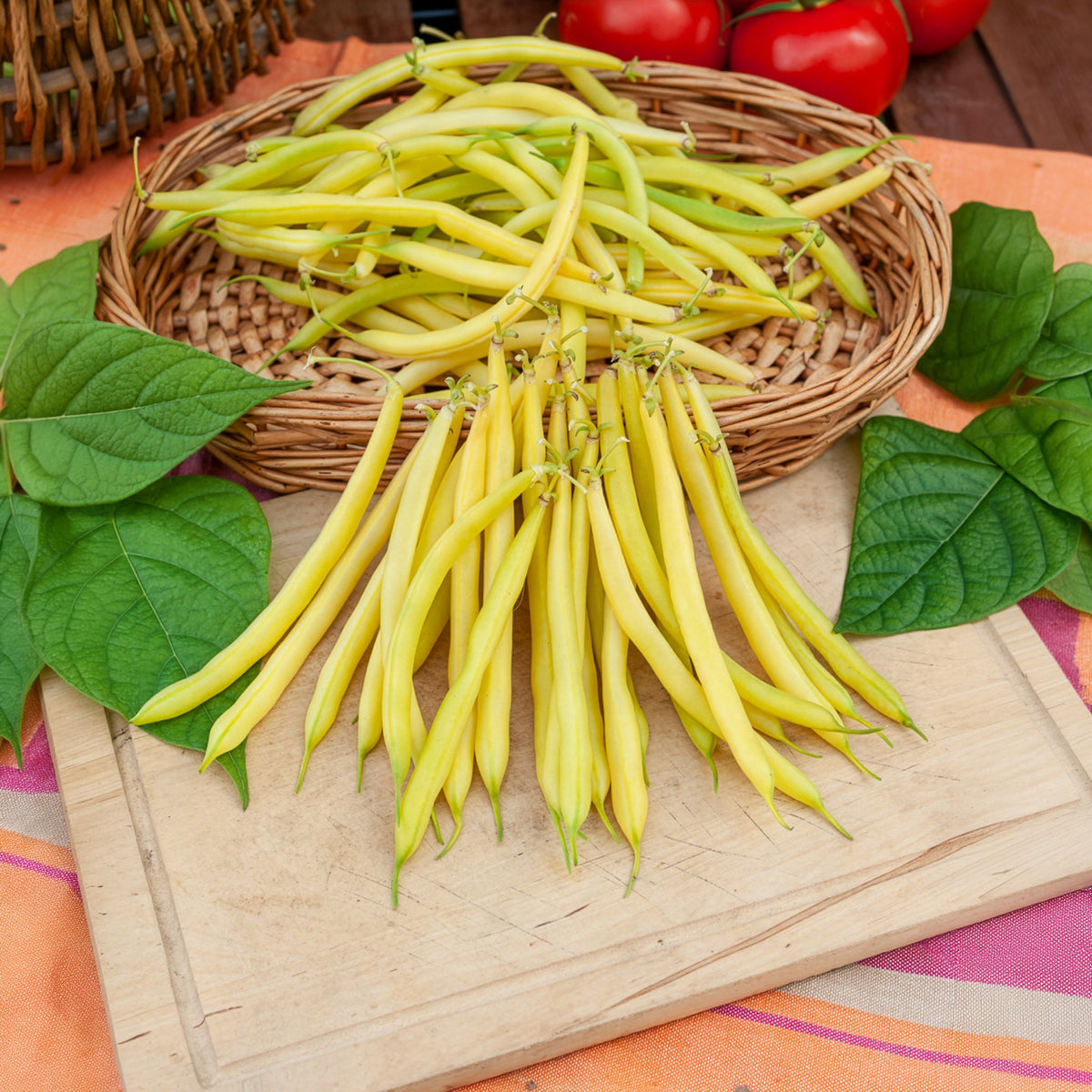 Haricot beurre nain Fructidor