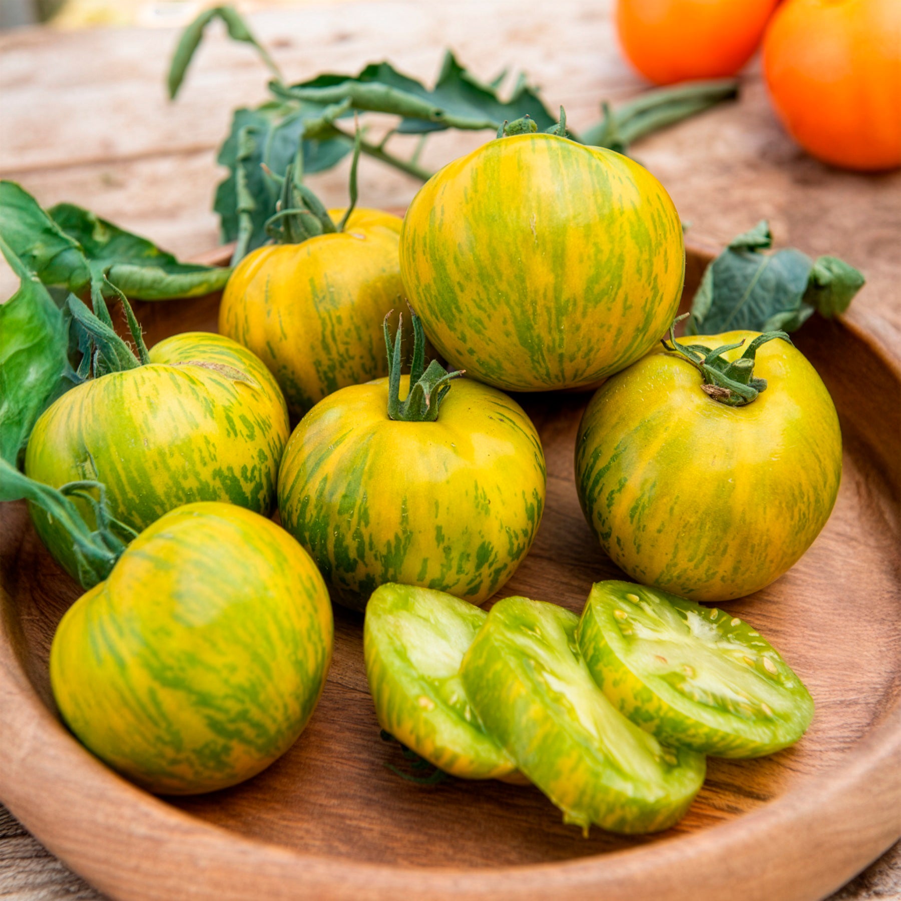 Plants de tomates - 3 Plants de Tomate Green Zebra - Solanum lycopersicum green zebra