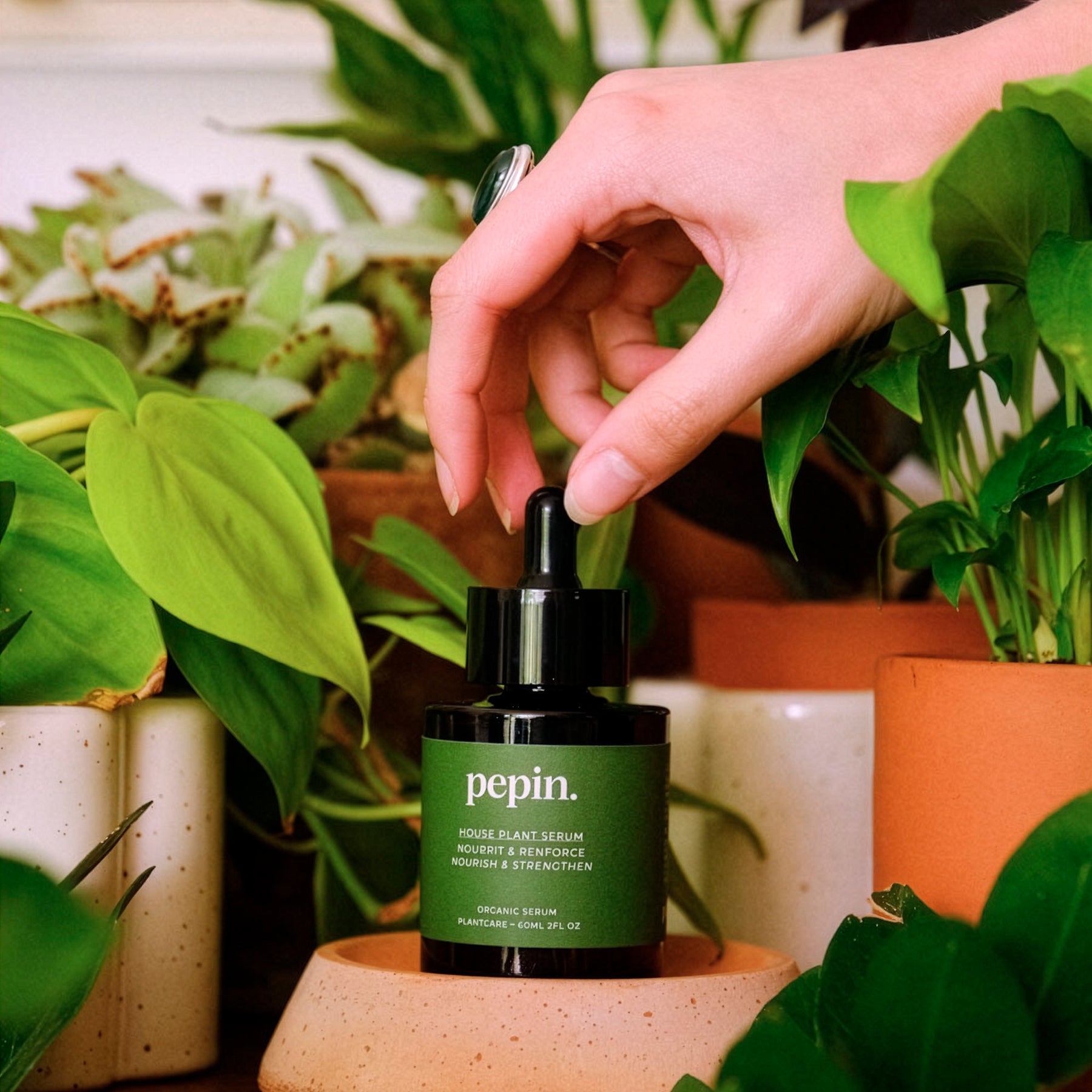 Soin et lutte contre les maladies - Sérum nourissant Plantes vertes - 