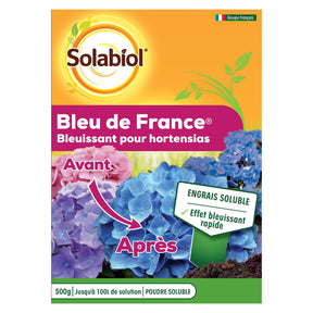 Bleu de France - Willemse