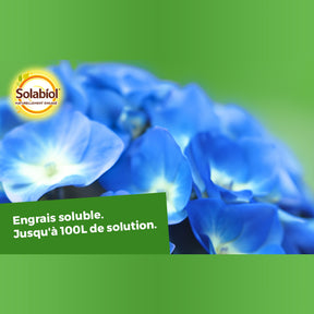  - Bleu de France - Soin et lutte contre les maladies