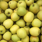 Pommier Golden Delicious - Willemse