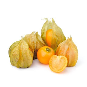 3 Plants de Coqueret du Pérou - Physalis peruviana - Willemse