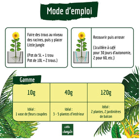 Matériel d'arrosage et récupérateurs d'eau - Rétenteur d'eau pour plantes d'intérieur BERGER WORLD - 