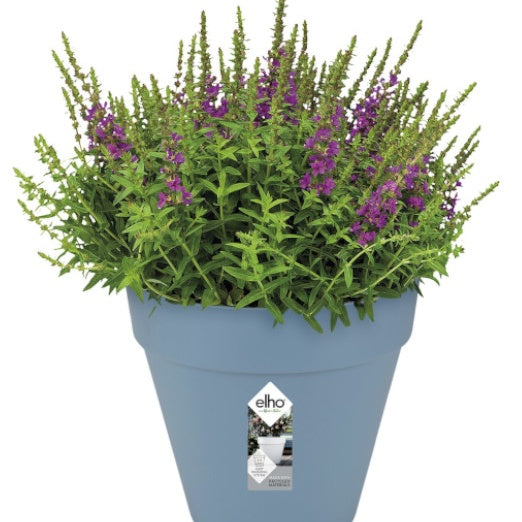 Vente Pot Loft Urban Round bleu ELHO - 