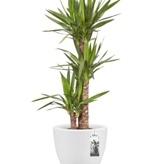 Pot Pure Soft Round blanc ELHO -  - Willemse