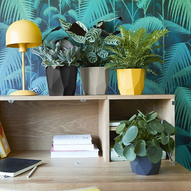 Elho Cache-pot B for rock ocre -  - Willemse