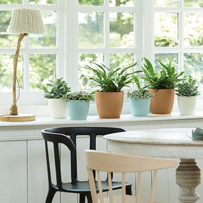 Elho Cache-pot Brussels rond brun cookie - Cache-pots & Pots - Willemse