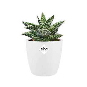 Cache-pot Brussels Round blanc ELHO - Equipement