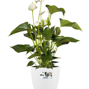 Vente  - Cache-pot Brussels Round blanc ELHO