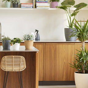 Vente Cache-pot Brussels Round blanc ELHO - Cache-pots