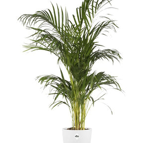 Vente Cache-pot Brussels Round blanc ELHO