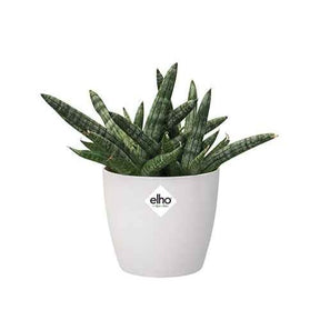 Cache-pot Brussels Round blanc ELHO - Plantes