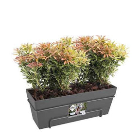  - Elho Balconnière Loft urban anthracite - Cache-pots