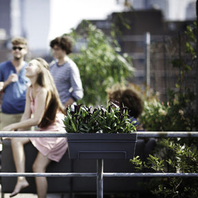Vente Elho Balconnière Loft urban anthracite - 