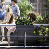 Elho Balconnière Loft urban anthracite - Willemse