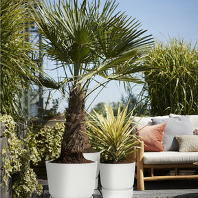 Vente Pot de fleurs Greenville Blanc ELHO - 
