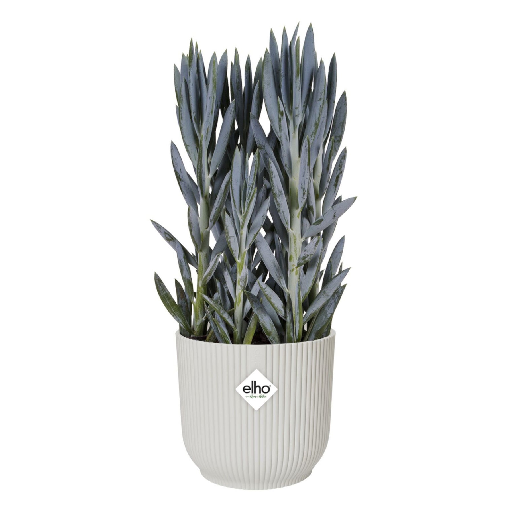 Cache-pot Vibes fold Blanc soie ELHO - Cache-pots & Pots - Willemse