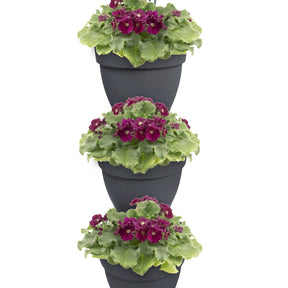 3 Pots de fleurs Vibia campana forêt Anthracite ELHO - 2